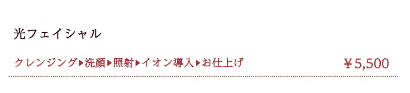 �v���~�A�����t�H�g�t�F�C�V����